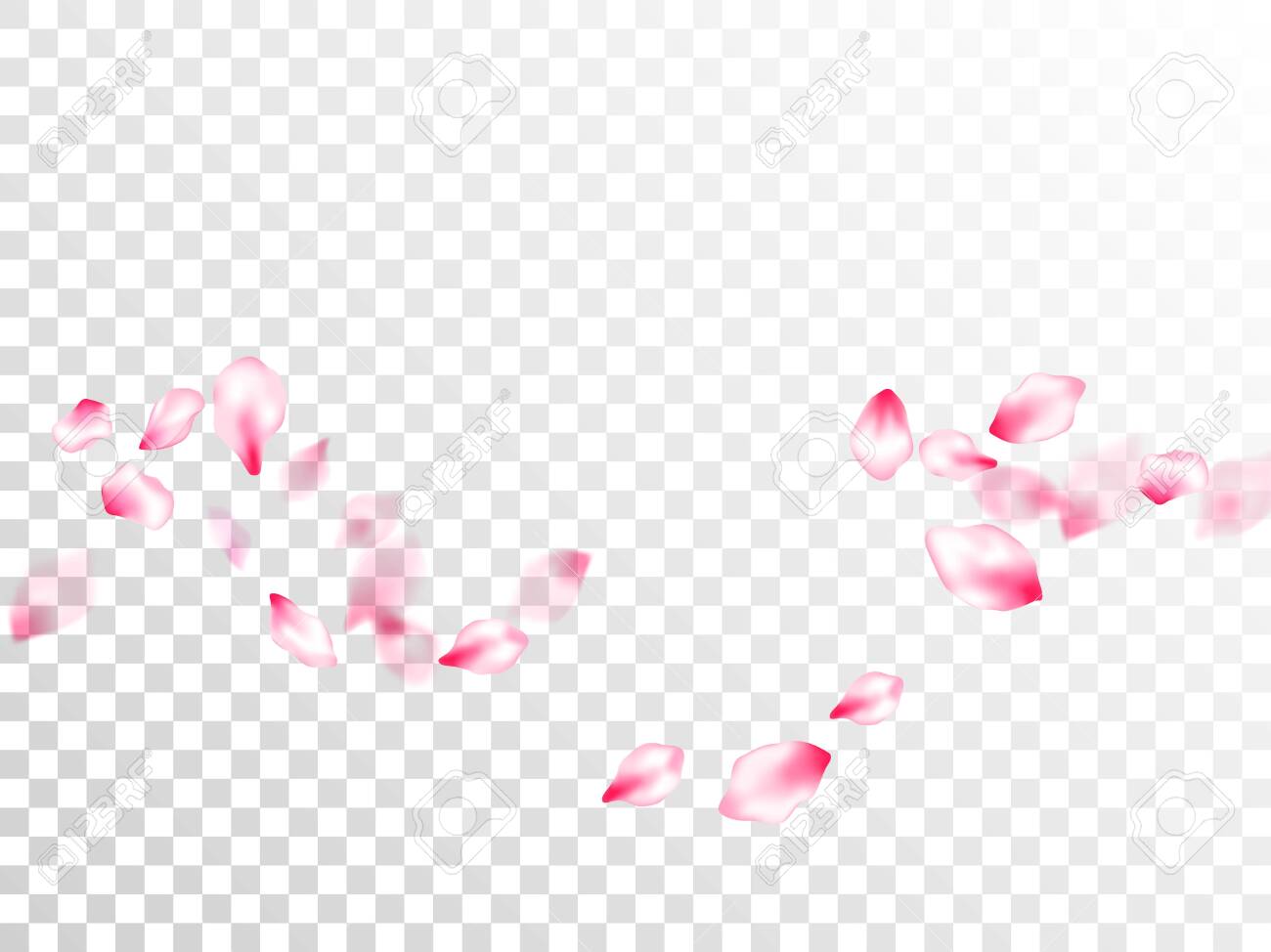 Detail Sakura Flower Transparent Nomer 46