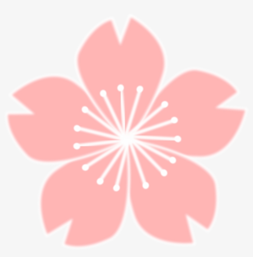 Detail Sakura Flower Transparent Nomer 52