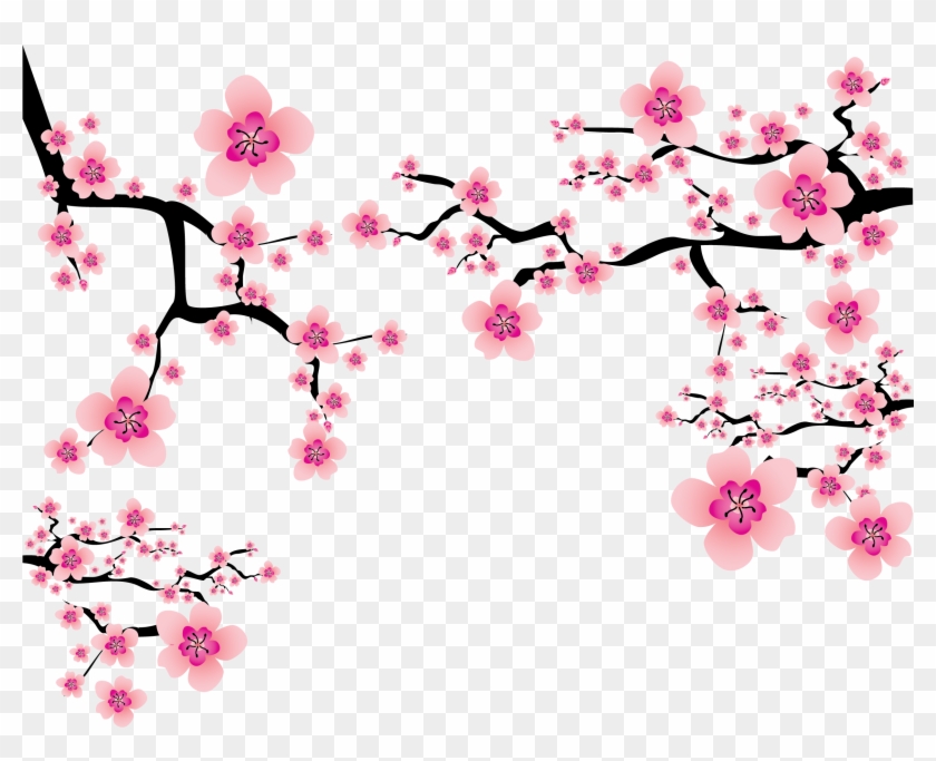 Detail Sakura Flower Transparent Nomer 10