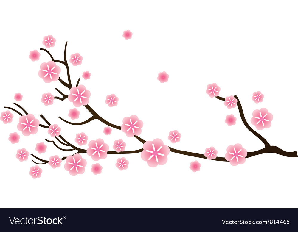 Detail Sakura Flower Vector Png Nomer 35