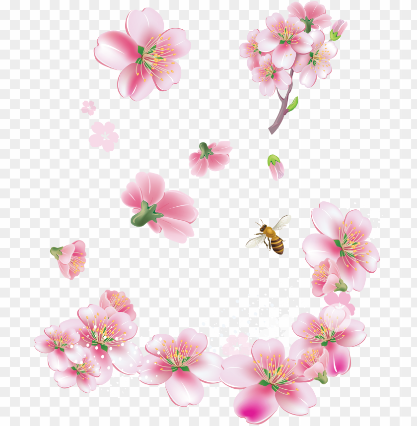 Detail Sakura Flower Vector Png Nomer 39