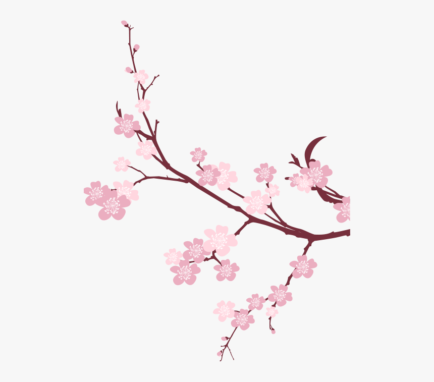 Detail Sakura Flowers Png Nomer 11