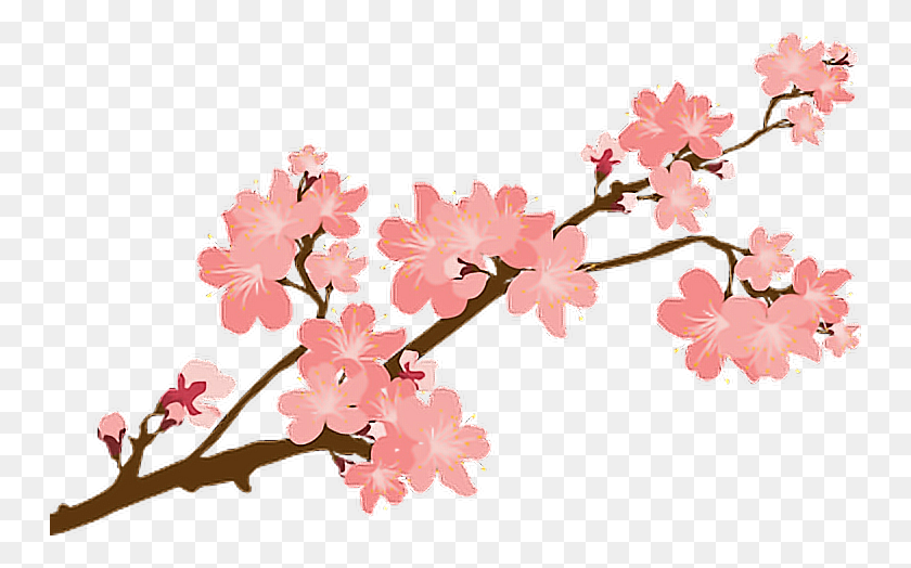 Detail Sakura Flowers Png Nomer 15