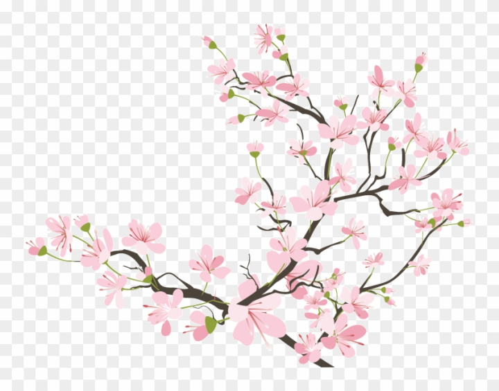 Detail Sakura Flowers Png Nomer 18
