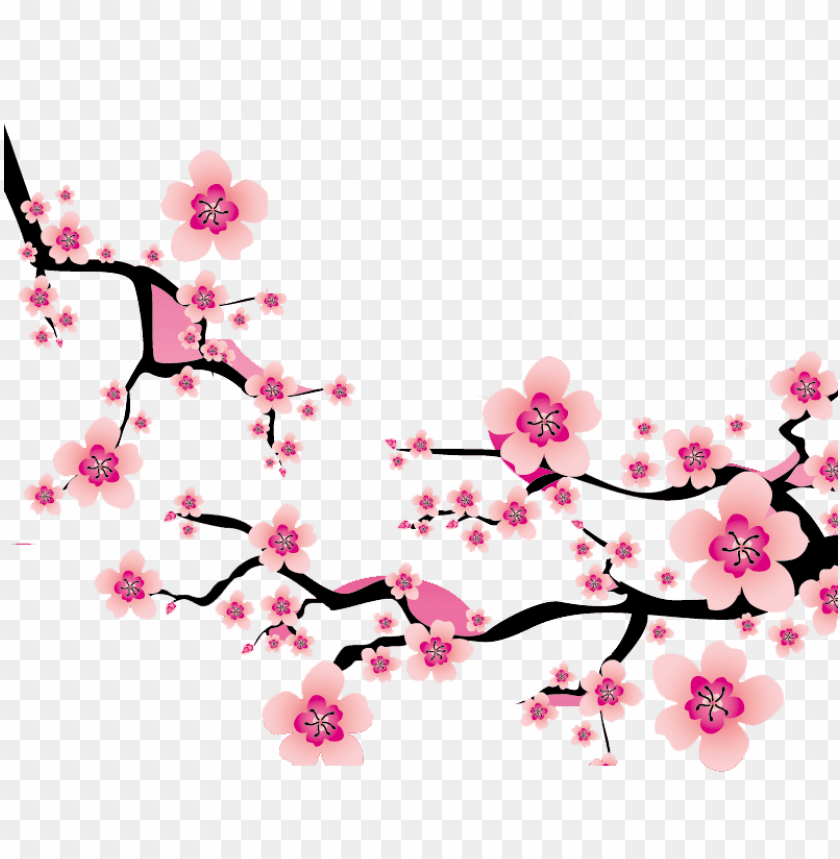 Detail Sakura Flowers Png Nomer 38