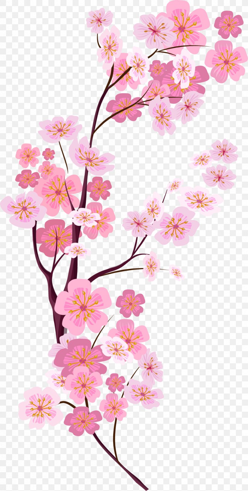 Detail Sakura Flowers Png Nomer 54