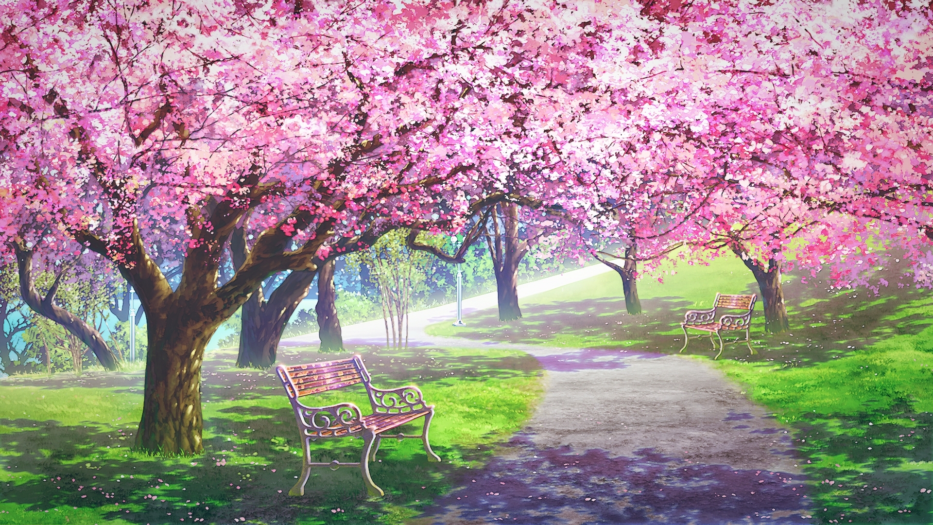 Detail Sakura Hd Wallpaper Nomer 31