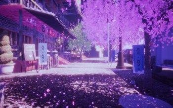 Detail Sakura Hd Wallpaper Nomer 55