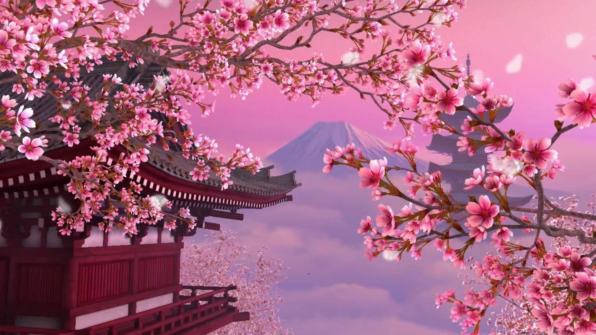 Detail Sakura Hd Wallpaper Nomer 9