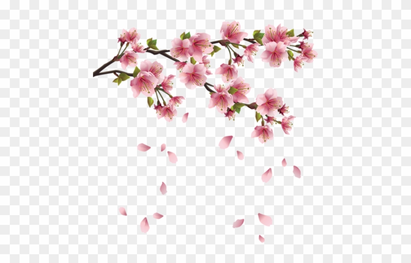 Detail Sakura Leaf Png Nomer 19