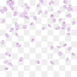 Detail Sakura Leaf Png Nomer 45