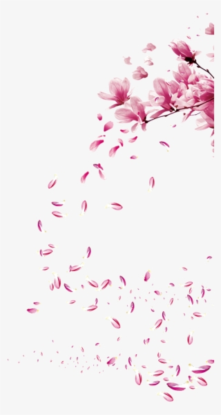 Detail Sakura Leaf Png Nomer 53