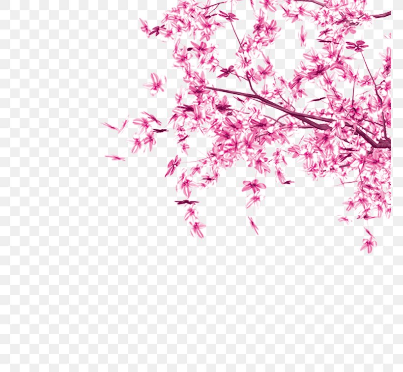 Detail Sakura Leaf Png Nomer 8