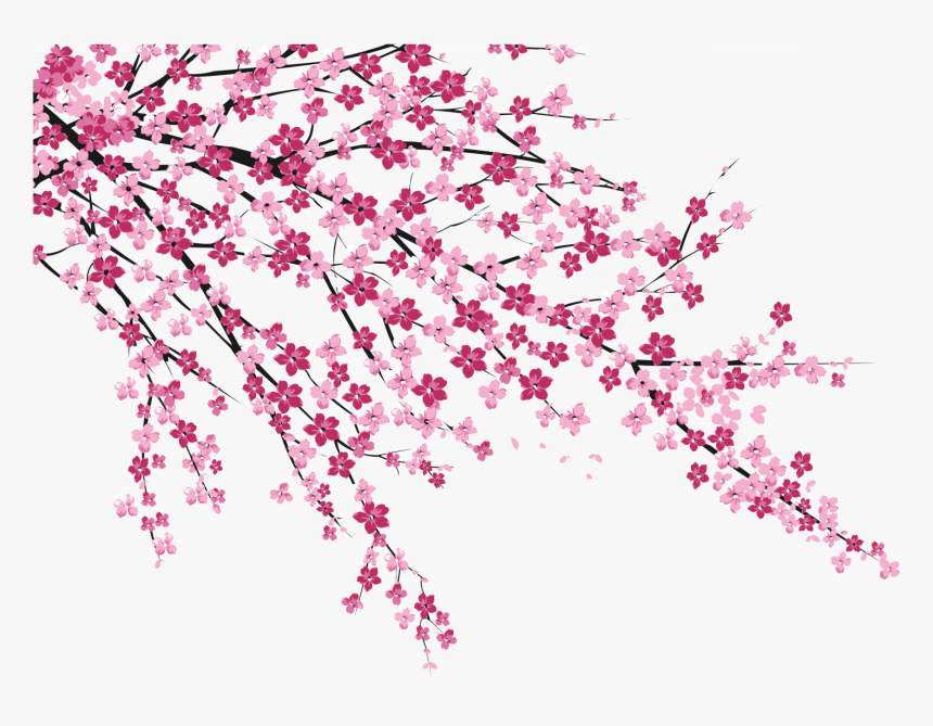 Detail Sakura Logo Png Nomer 42