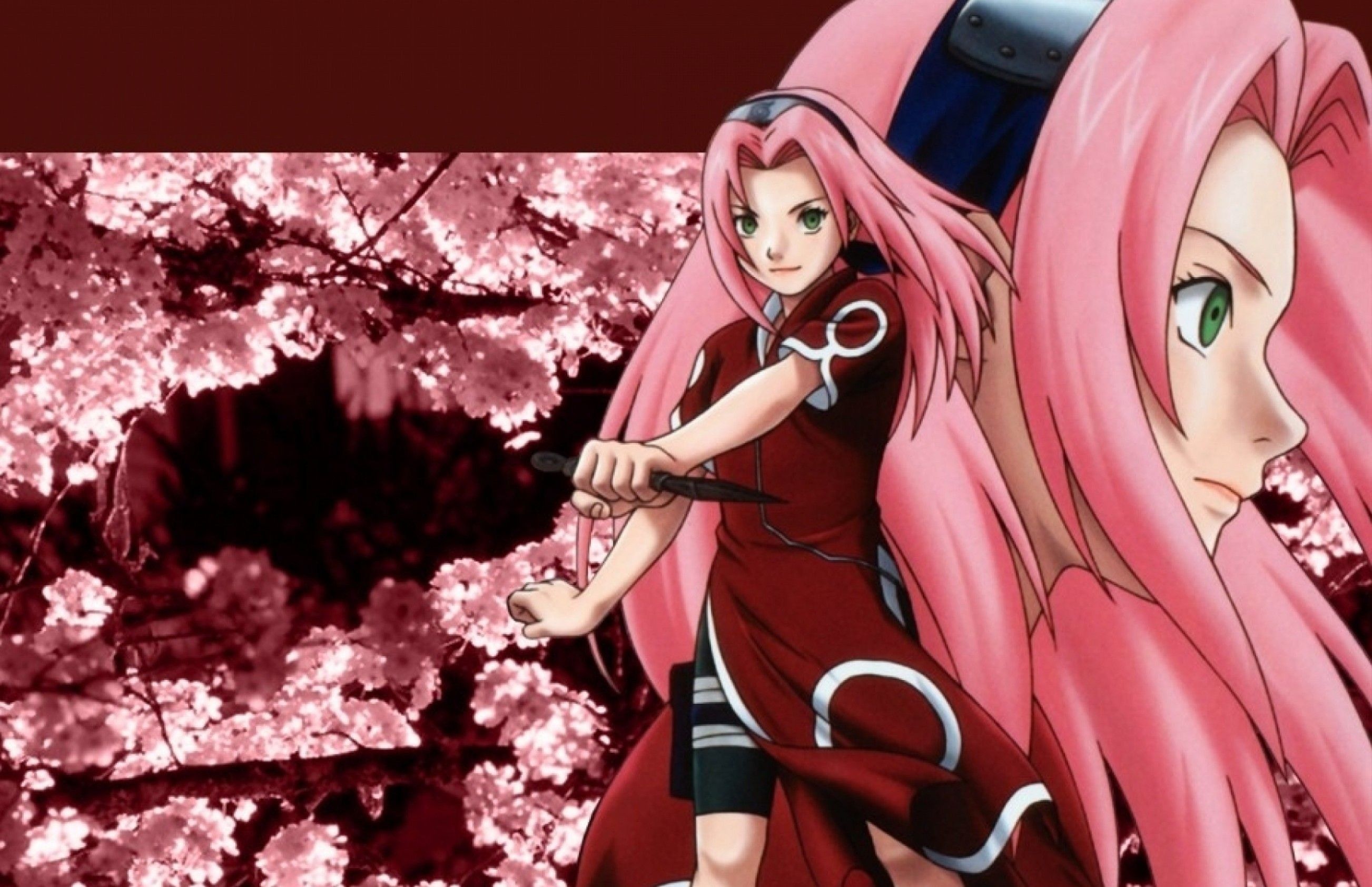 Detail Sakura Naruto Wallpaper Nomer 7