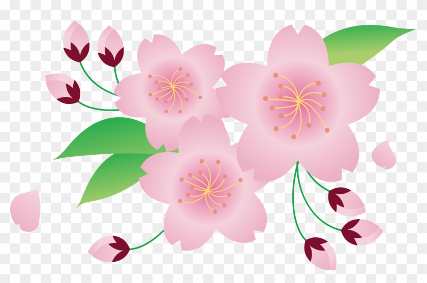 Detail Sakura Png Flower Nomer 16