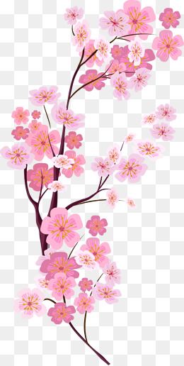 Detail Sakura Png Flower Nomer 37