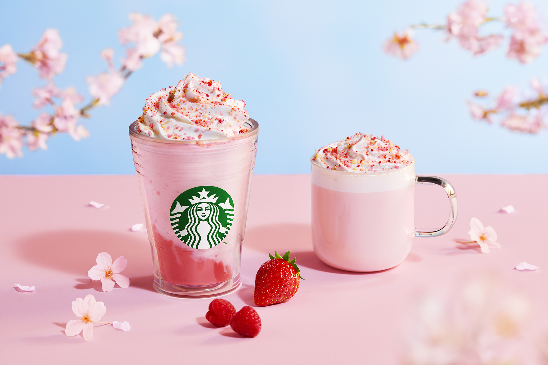 Detail Sakura Starbucks Mug Nomer 46