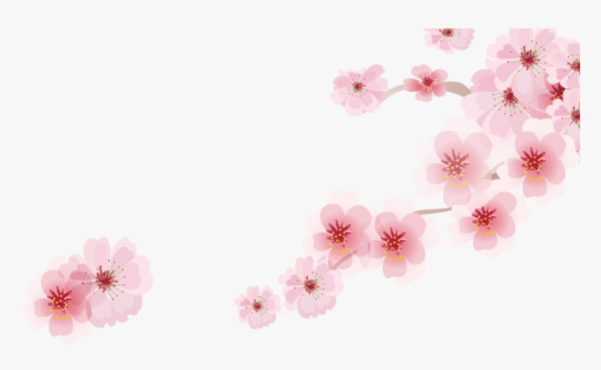 Detail Sakura Transparent Nomer 10
