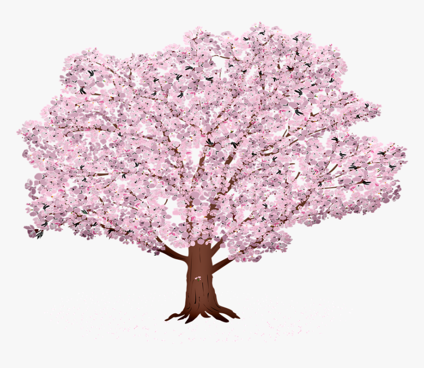 Detail Sakura Tree Background Nomer 15