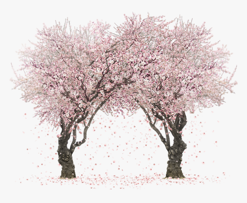 Detail Sakura Tree Background Nomer 28