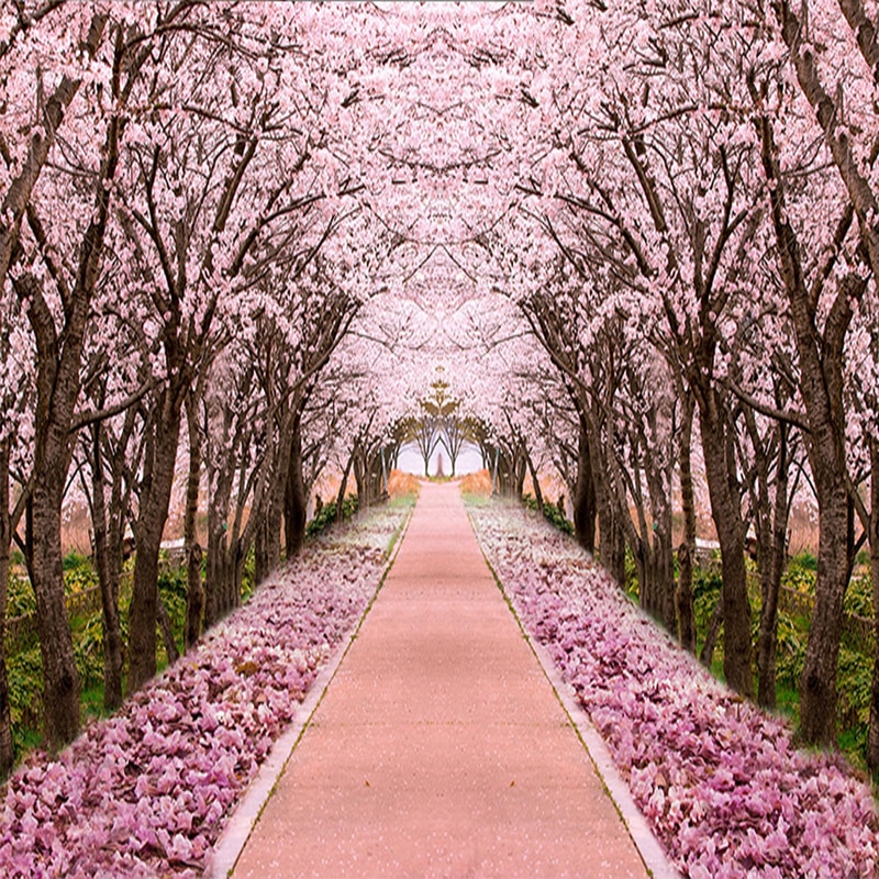 Detail Sakura Tree Background Nomer 29