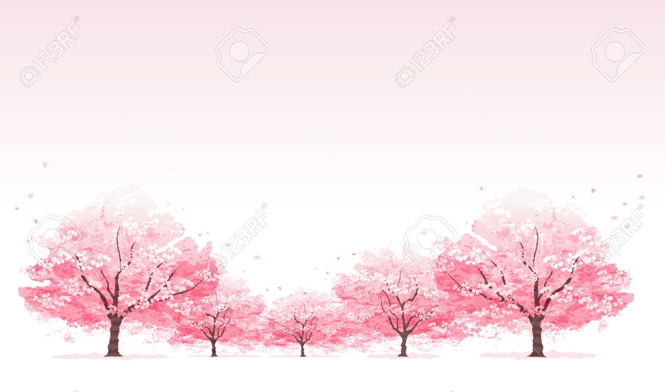 Detail Sakura Tree Background Nomer 31