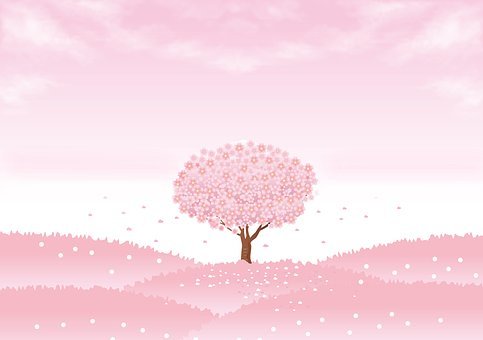 Detail Sakura Tree Background Nomer 49