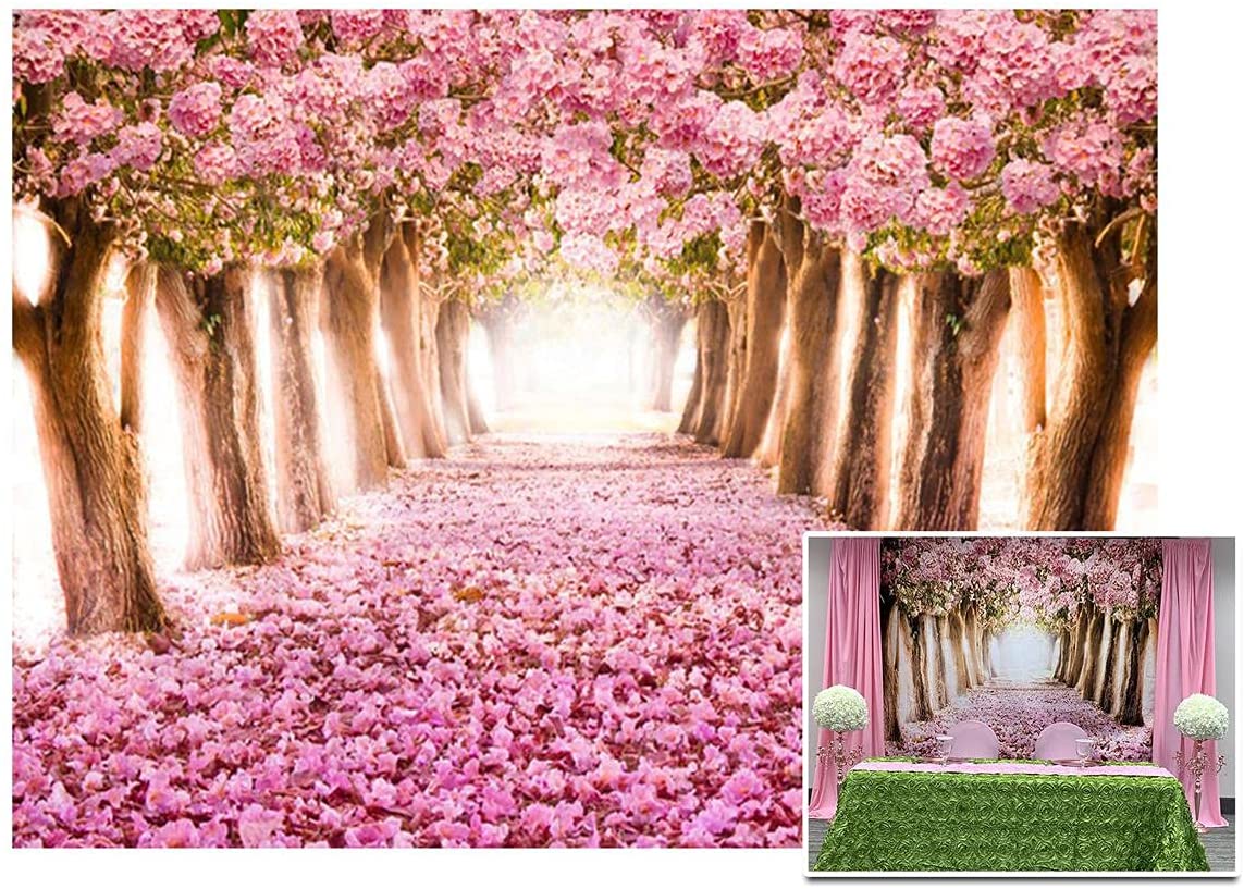 Detail Sakura Tree Background Nomer 53