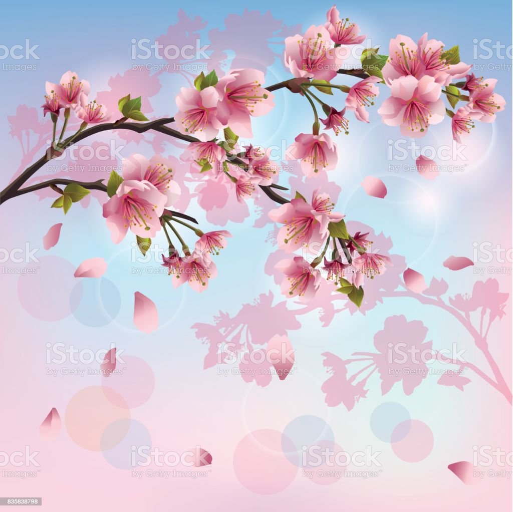 Detail Sakura Tree Background Nomer 57