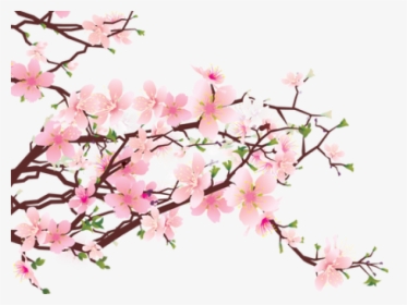 Detail Sakura Tree Background Nomer 58