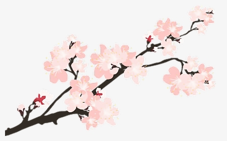 Detail Sakura Tree Png Nomer 22