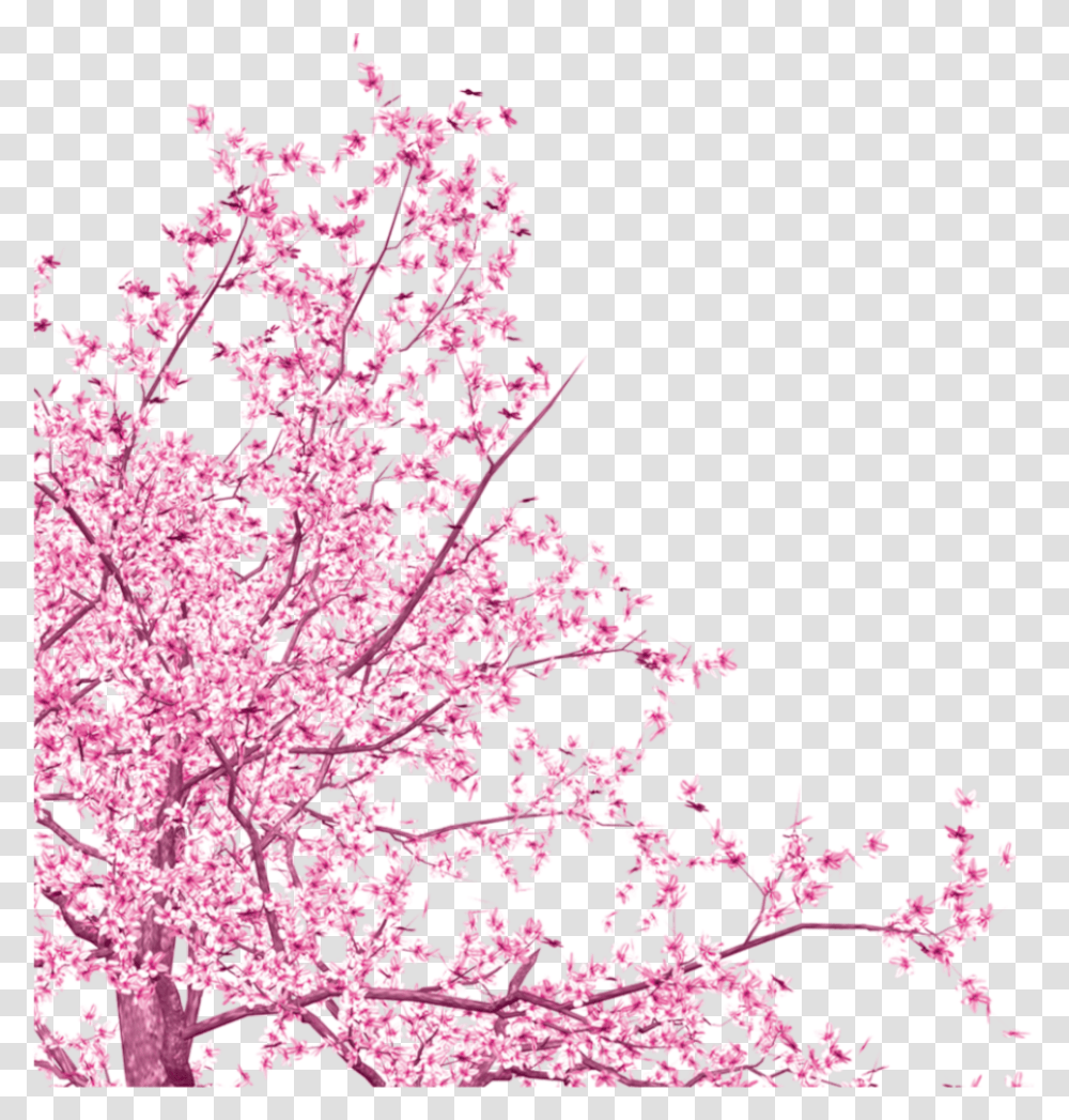 Detail Sakura Tree Png Nomer 6