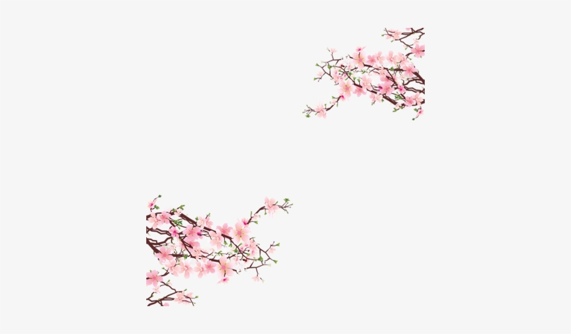 Detail Sakura Tree Png Nomer 53