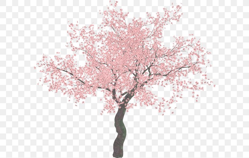 Detail Sakura Tree Png Nomer 10