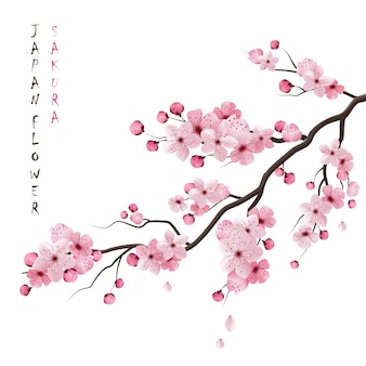 Detail Sakura Tree Vector Png Nomer 14