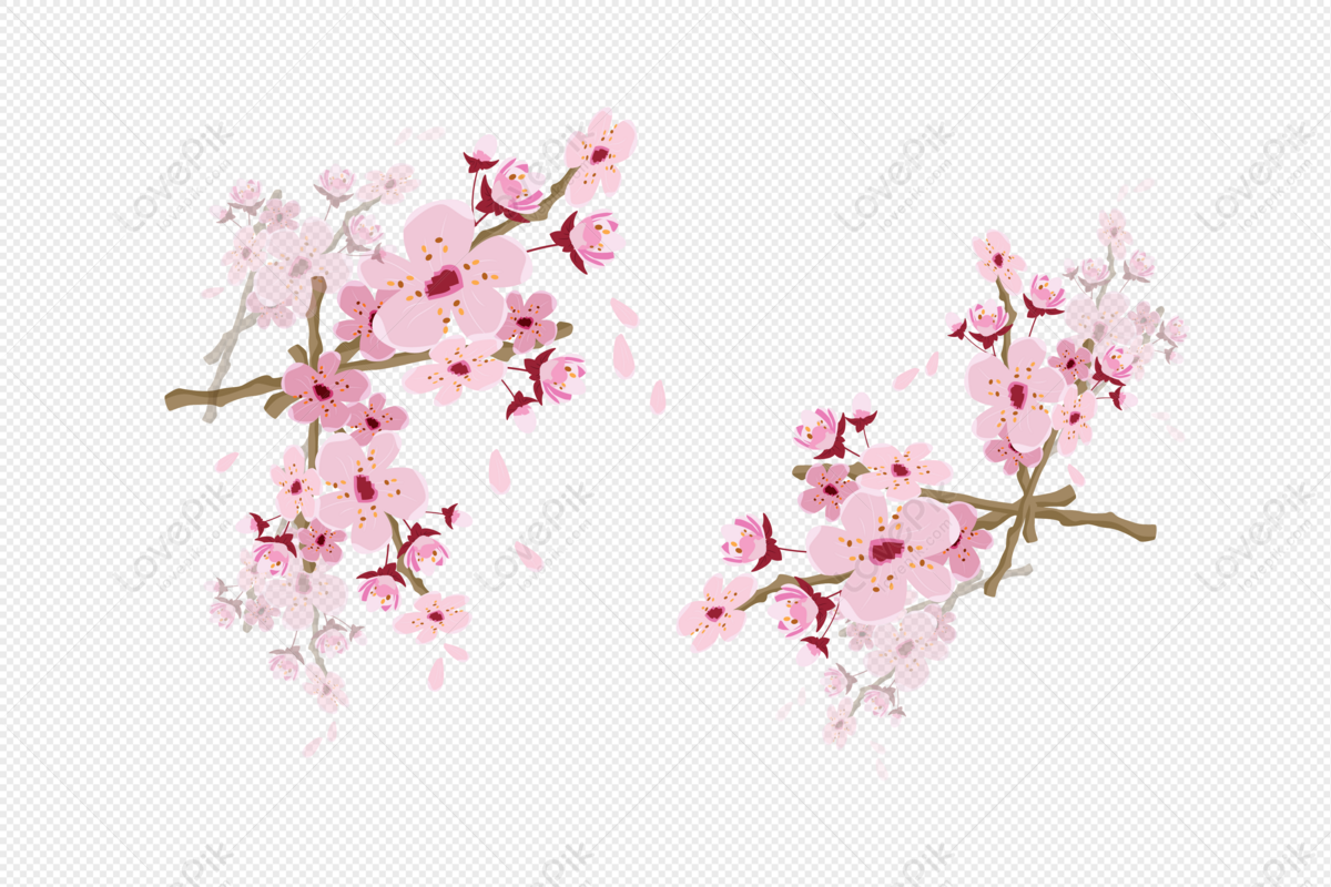 Detail Sakura Tree Vector Png Nomer 18