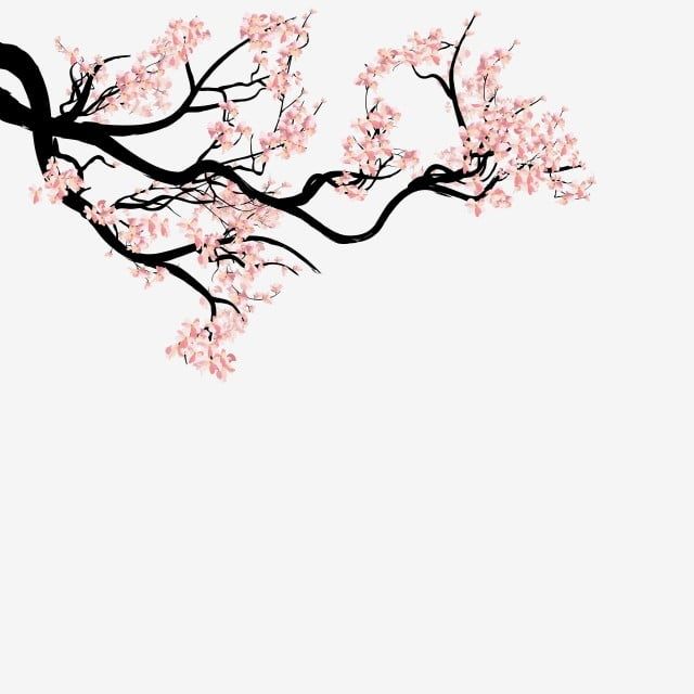 Detail Sakura Tree Vector Png Nomer 23