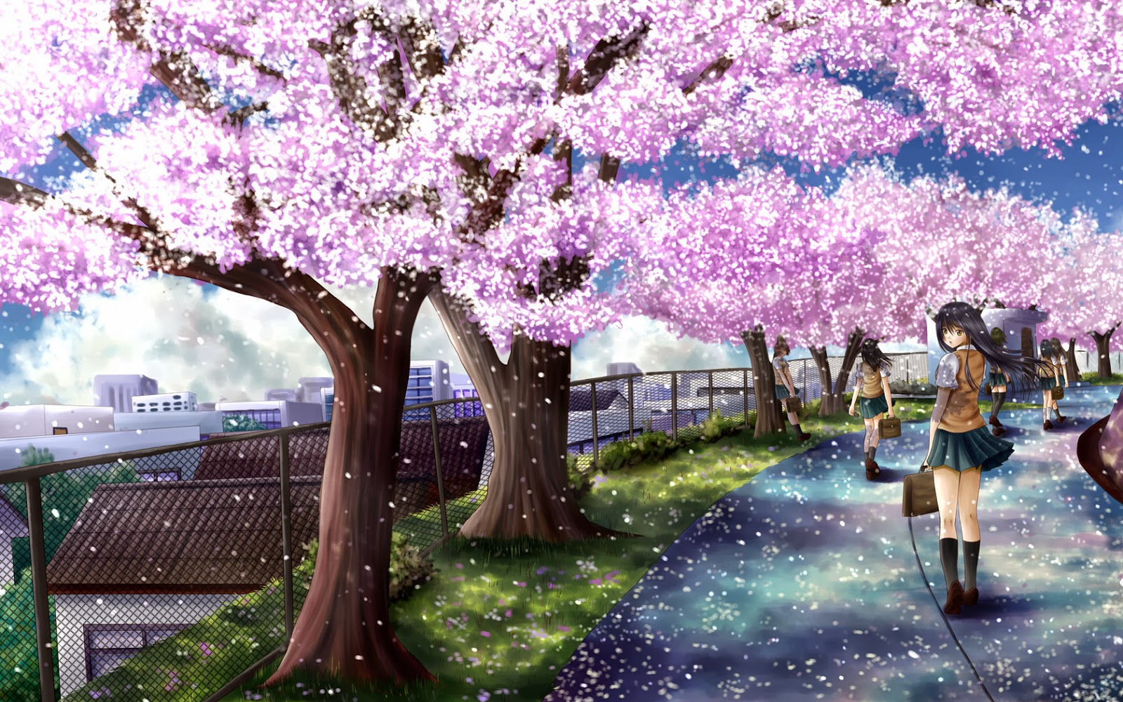 Detail Sakura Tree Wallpaper Nomer 38