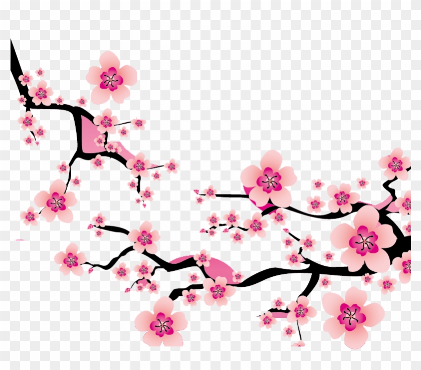 Detail Sakura Vector Png Nomer 9