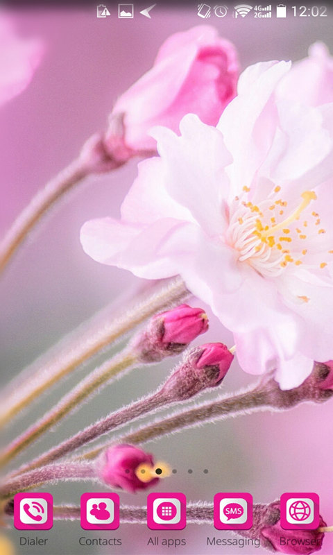 Detail Sakura Wallpaper Android Nomer 46