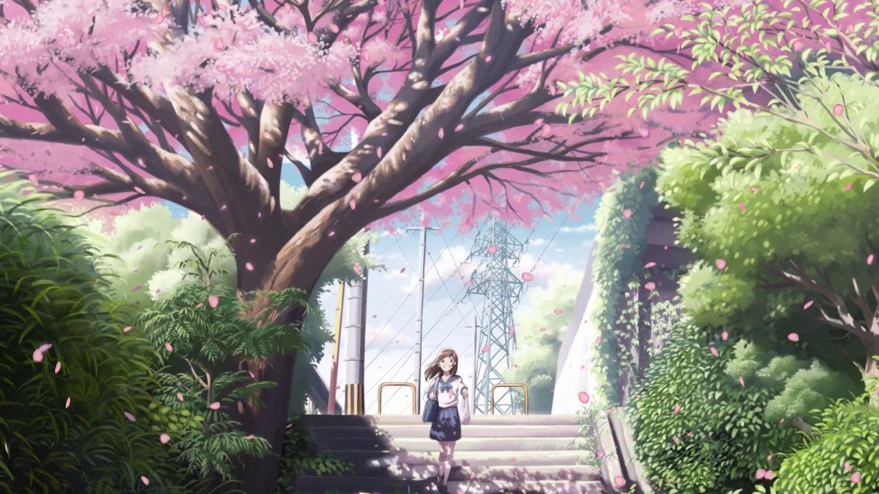 Detail Sakura Wallpaper Anime Nomer 27