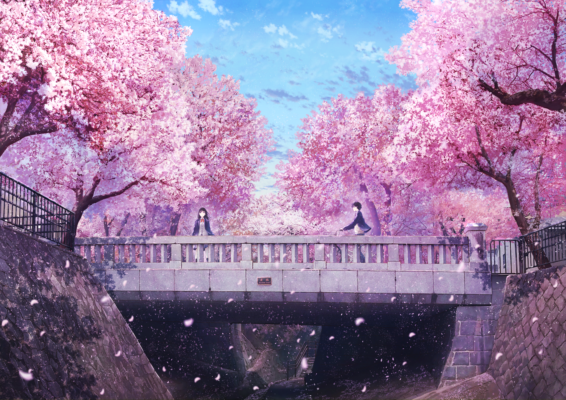 Detail Sakura Wallpaper Anime Nomer 32