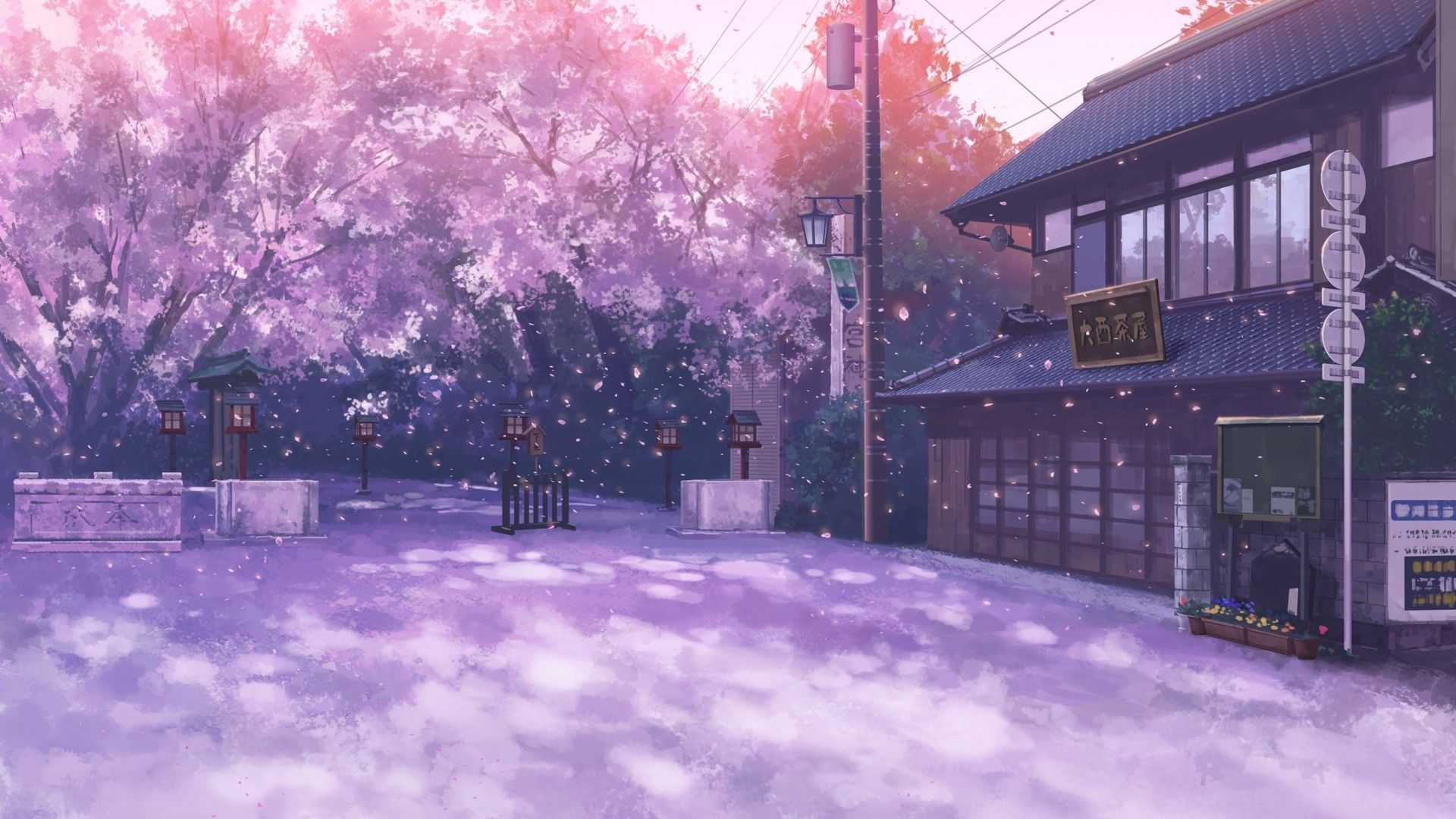 Detail Sakura Wallpaper Anime Nomer 33