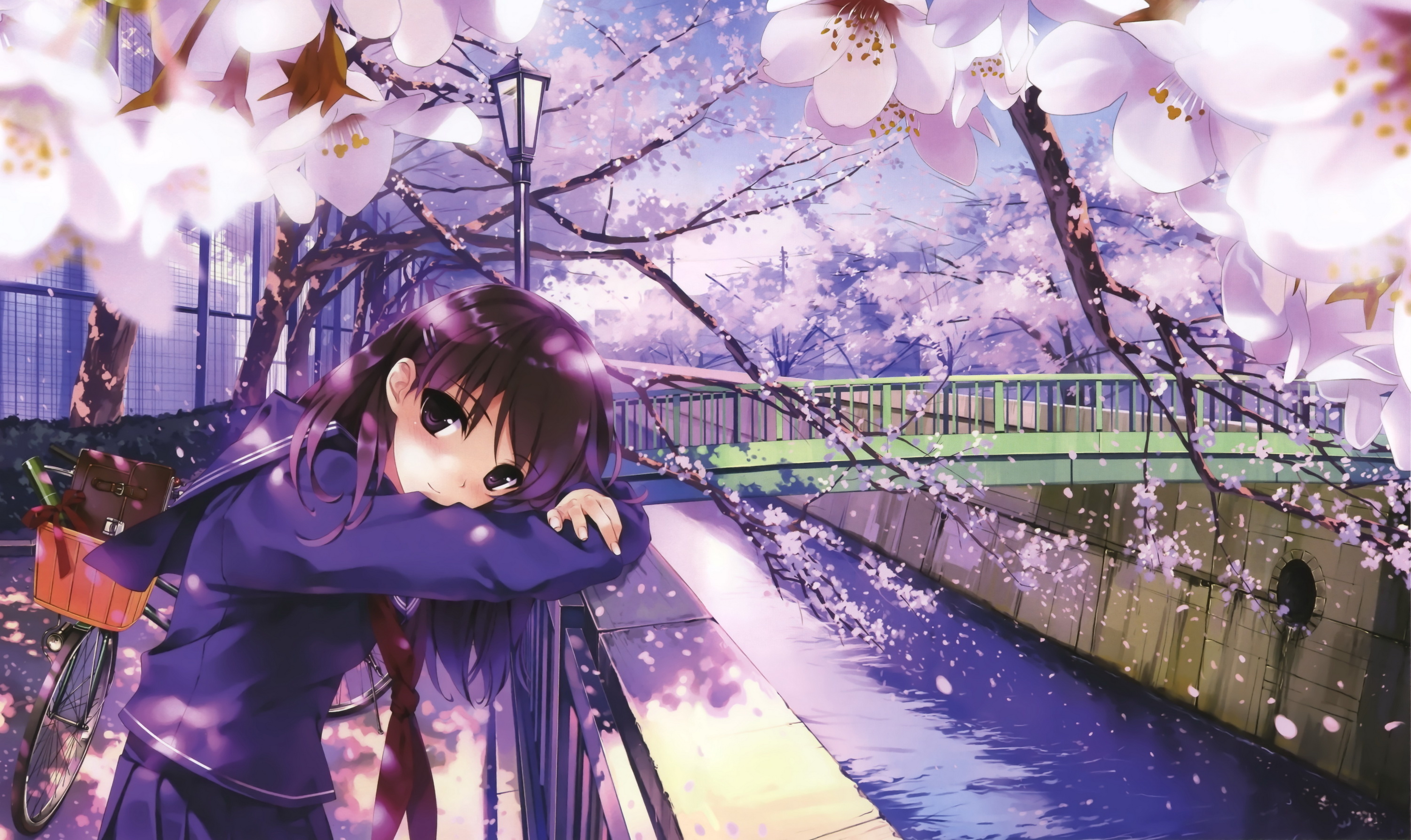 Detail Sakura Wallpaper Anime Nomer 50