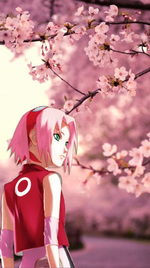 Detail Sakura Wallpaper Anime Nomer 55