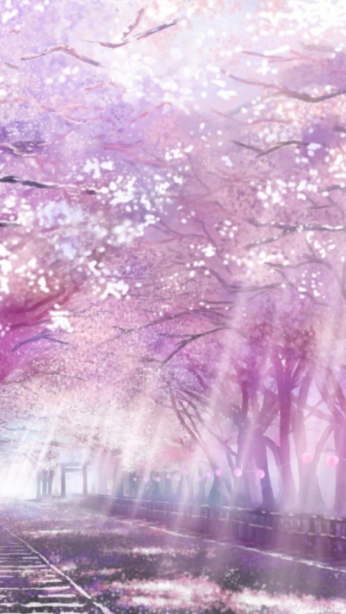 Detail Sakura Wallpaper Anime Nomer 57