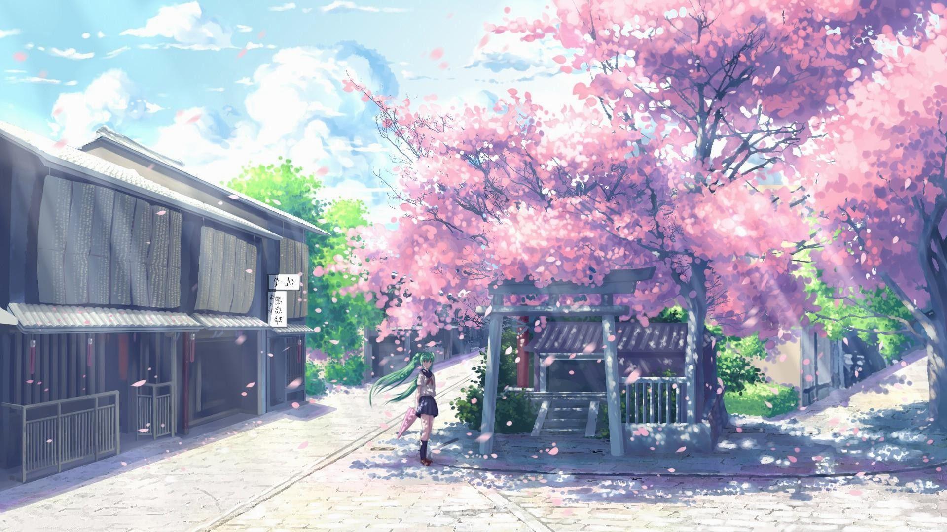 Detail Sakura Wallpaper Anime Nomer 7