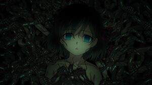 Sakura Worms - KibrisPDR