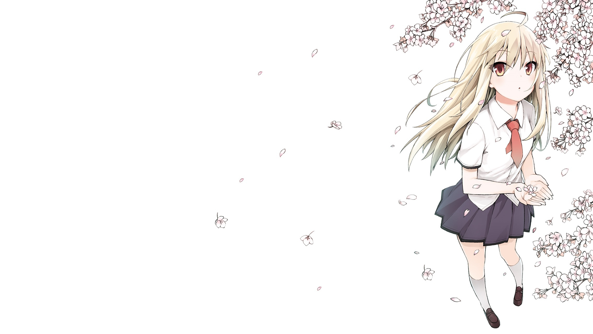 Detail Sakurasou Wallpaper Nomer 16